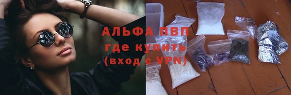 прущие грибы Зеленодольск