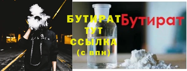 гидра Туринск