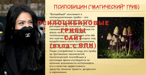 прущие грибы Зеленодольск
