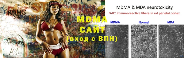 гидра Туринск