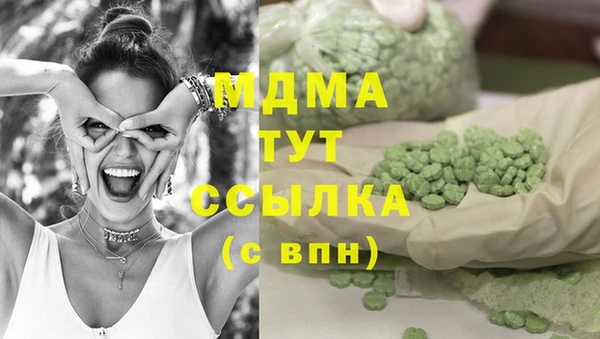индика Тутаев