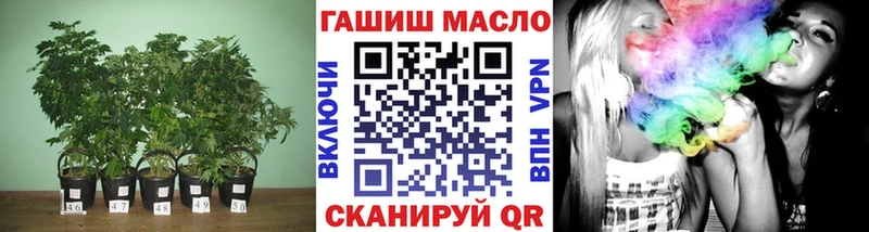 Купить где  Новоаннинский  ТГК концентрат 