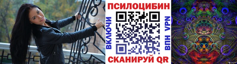 Купить  Новоаннинский  Псилоцибиновые грибы MAGIC MUSHROOMS 